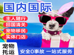 蓬莱空运国际宠物托运 【国
